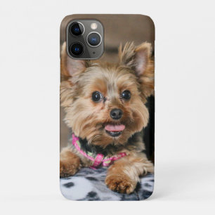 Tiny Dynamo iPhone 11 Pro Case