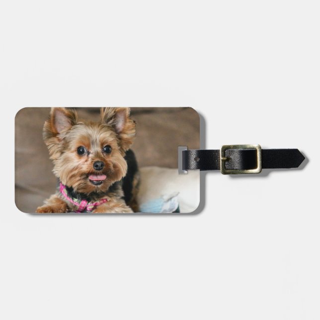 Tiny dynamo luggage tag (Front Horizontal)