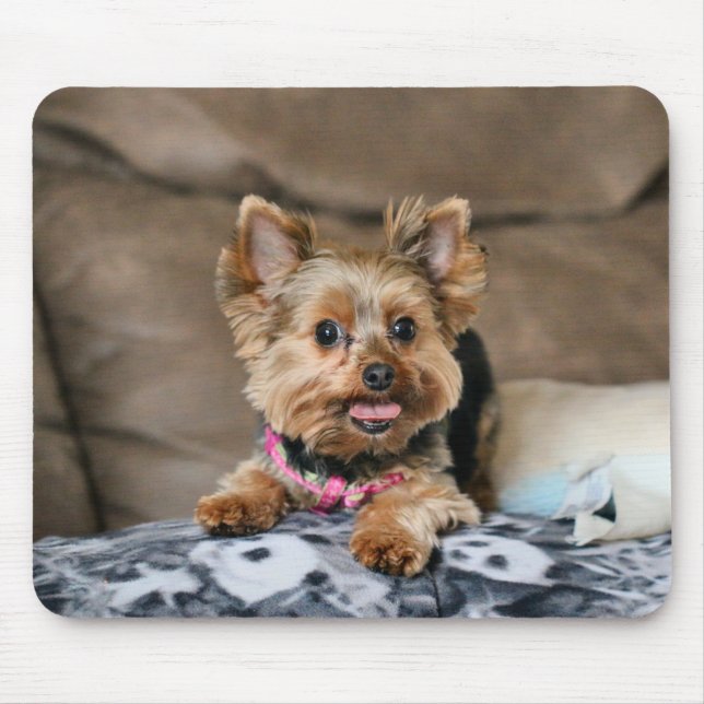 Tiny dynamo mouse pad (Front)