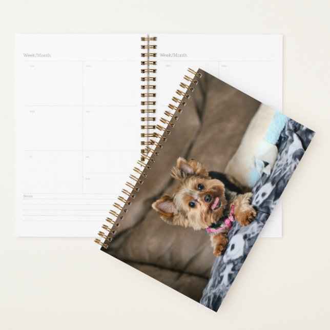 Tiny dynamo planner (Display)