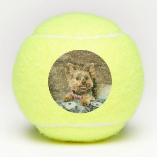 Tiny Dynamo Tennis Balls