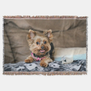 Tiny dynamo throw blanket