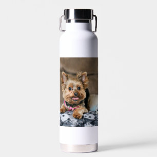 Tiny dynamo water bottle