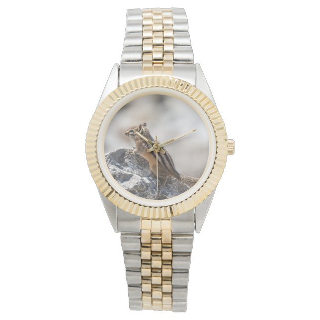 Tiny Explorer, Chipmunk Watch (Front)