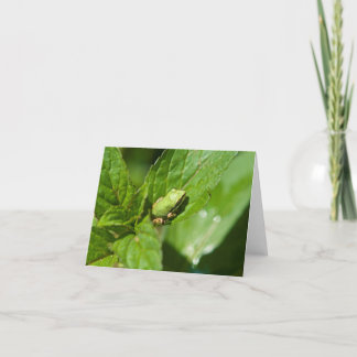 Tiny Frog Note Card (glossy)