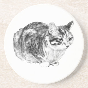 Tiny Gallery: Tabby on Cushion Coaster