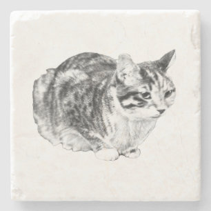 Tiny Gallery: Tabby on Cushion Stone Coaster