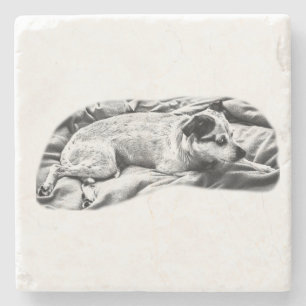 Tiny Gallery: Terrier on Blanket Stone Coaster