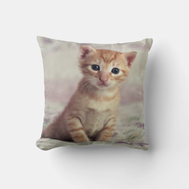 Tiny Ginger Kitten Cushion (Front)