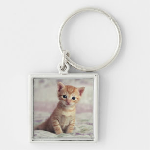 Tiny Ginger Kitten Key Ring