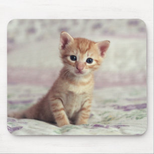 Tiny Ginger Kitten Mouse Pad