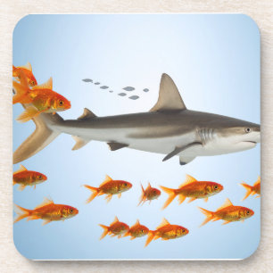 “Tiny Goldfish, Big Shark Energy” Coaster