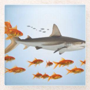 “Tiny Goldfish, Big Shark Energy” Glass Coaster