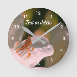 Tiny Grasshopper On Azalea Flower Personalised Round Clock