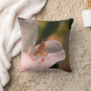 Tiny Grasshopper On White Azalea Flower   Cushion