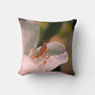 Tiny Grasshopper On White Azalea Flower   Cushion