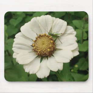 Tiny Grasshopper on White Flower Mouse Pad
