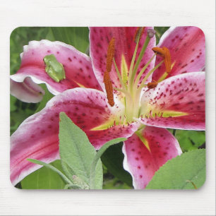 Tiny Green Frog on Stargazer Lily Mouse Pad