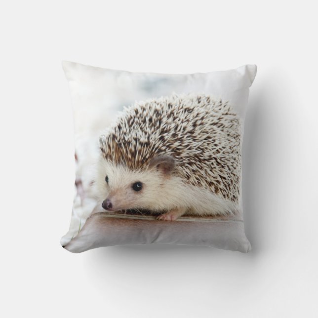 Tiny Hedgehog Cushion (Front)