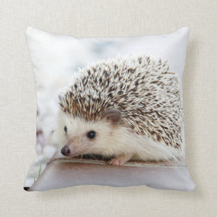 Tiny Hedgehog Cushion