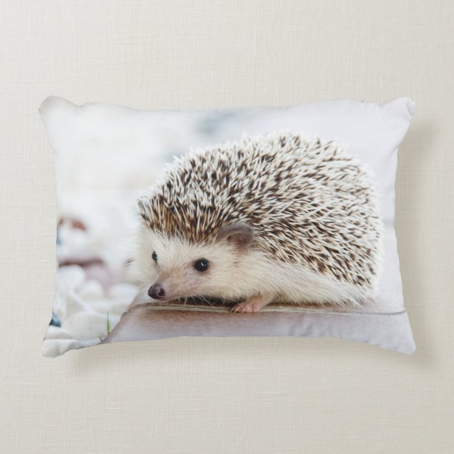 Tiny Hedgehog Decorative Cushion (Front)