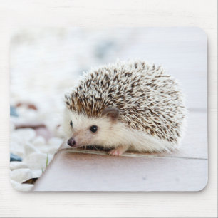 Tiny Hedgehog Mouse Pad