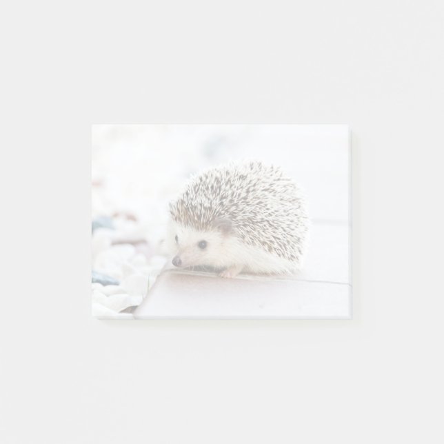 Tiny Hedgehog Post-it Notes (Front)