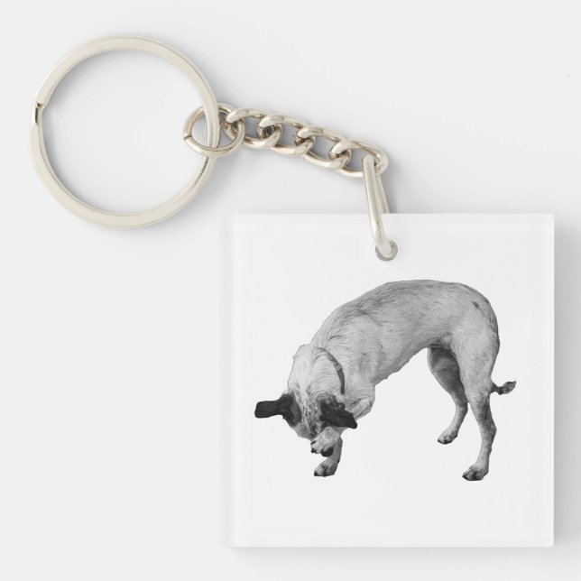 Tiny Hideaway Terrier Key Ring (Front)