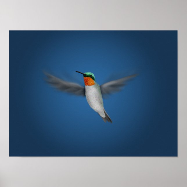 Tiny Illustrated Hummingbird Poster (Front)