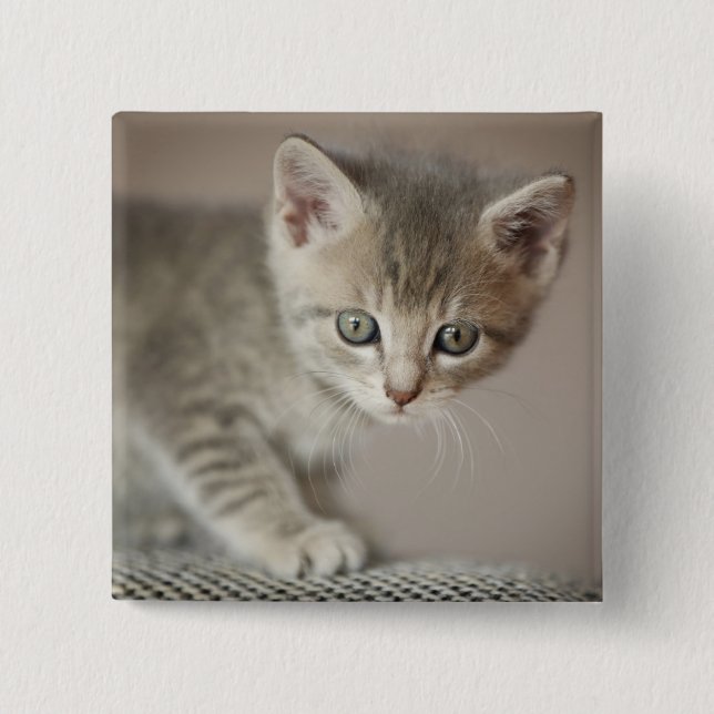 Tiny Kitten 15 Cm Square Badge (Front)
