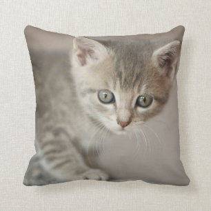 Tiny Kitten Cushion