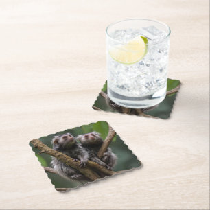Tiny Marmoset Titans Among the Branches, Paper Coaster