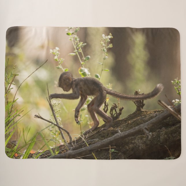 TINY MONKEY SHERPA BLANKET (Front (Horizontal))