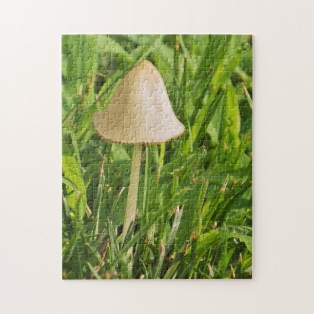 Tiny mushroom jigsaw puzzle (Vertical)