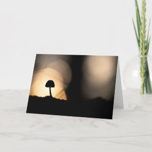 Tiny Mushroom Nature Photo Card