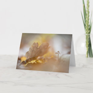 Tiny Mushroom Nature Photo Card