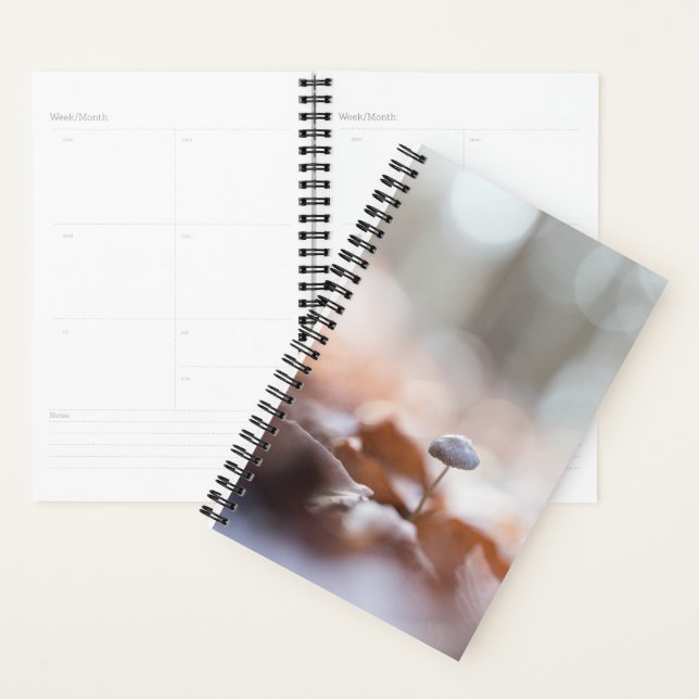 Tiny Mushroom Nature Photo Card Planner (Display)