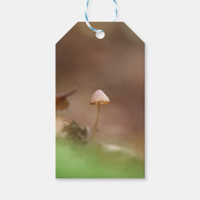 Tiny Mushroom Nature Photo Gift Tags (Front)
