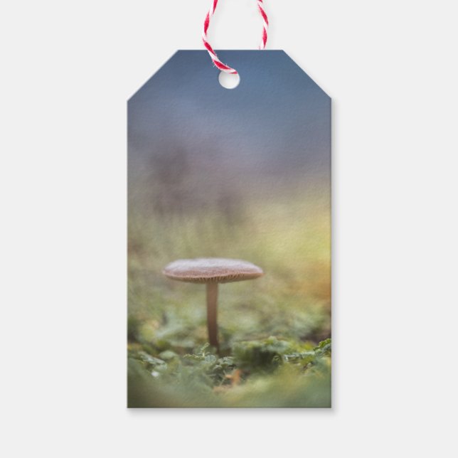 Tiny Mushroom Nature Photo Gift Tags (Front)
