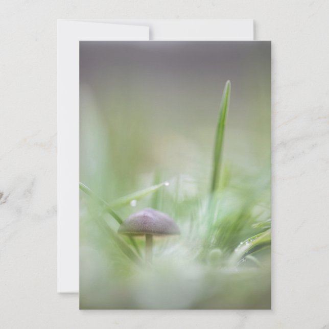Tiny Mushroom Nature Photo Holiday Card (Front)