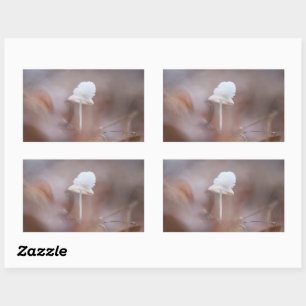Tiny Mushroom Nature Photo Rectangular Sticker