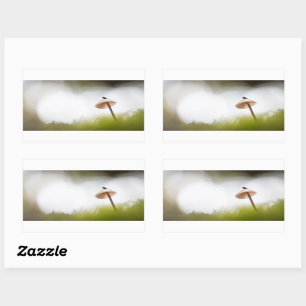 Tiny Mushroom Nature Photo Rectangular Sticker