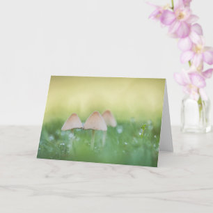 Tiny Mushrooms Nature Photo Card