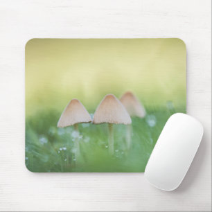 Tiny Mushrooms Nature Photo Mouse Pad