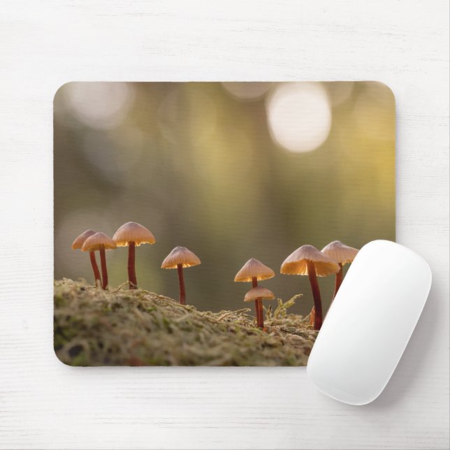 Tiny Mushrooms Nature Photo Mouse Pad (With Mouse)