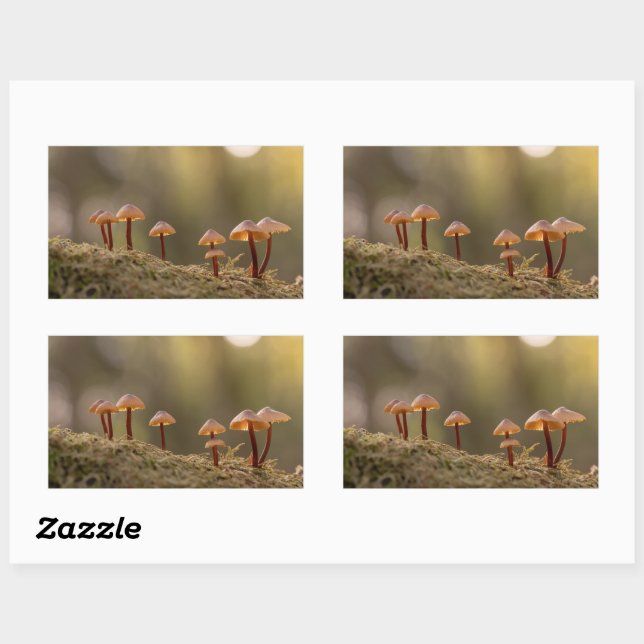 Tiny Mushrooms Nature Photo Rectangular Sticker (Sheet)