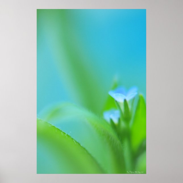 Tiny Perfection Poster (Front)