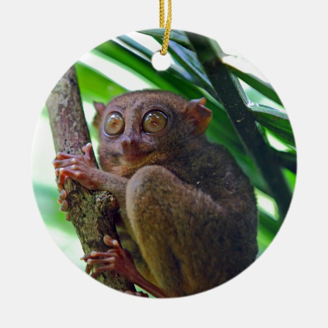 Tiny Philippine tarsier Ceramic Tree Decoration (Front)