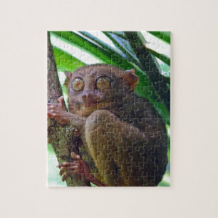 Tiny Philippine tarsier Jigsaw Puzzle