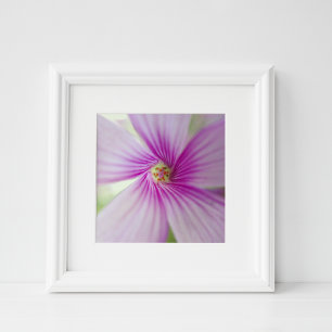 Tiny Pink Flower Photo Print